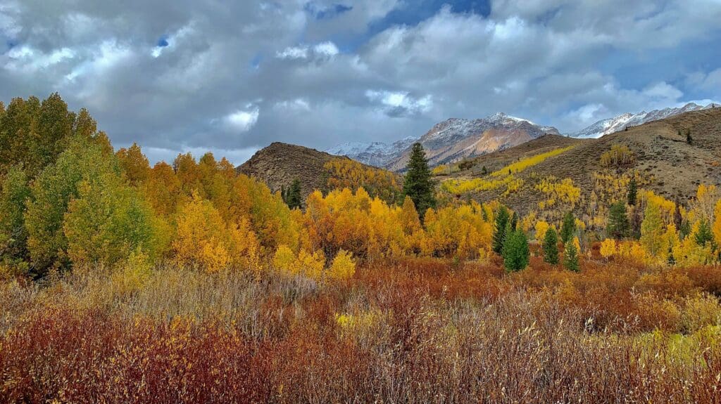 Autumn landscape with colorful trees and mountains.