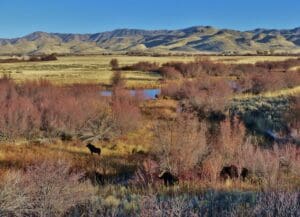 Silver Creek Preserve City of Hailey, Idaho