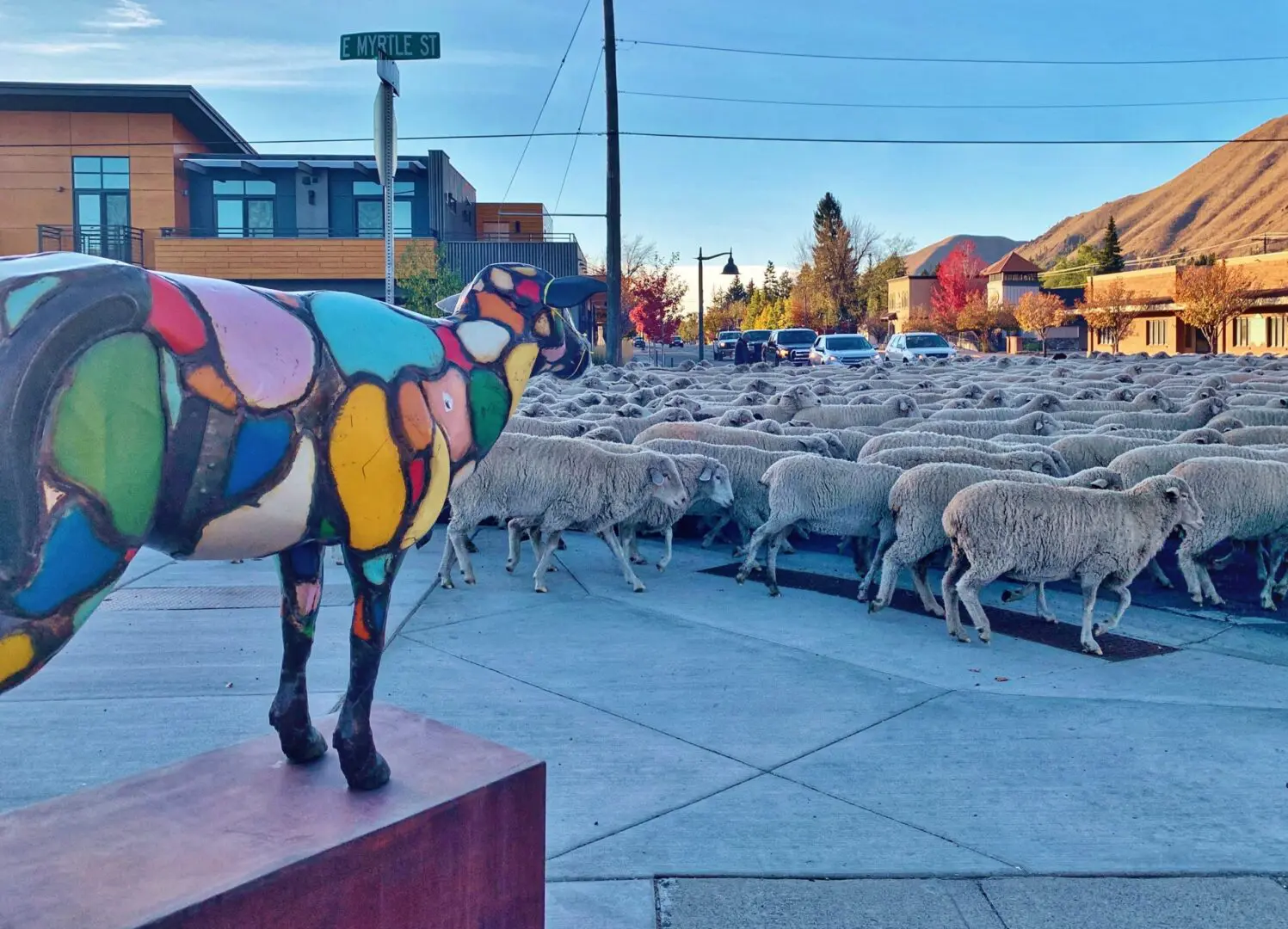 Sheep Sculpture | City of Hailey