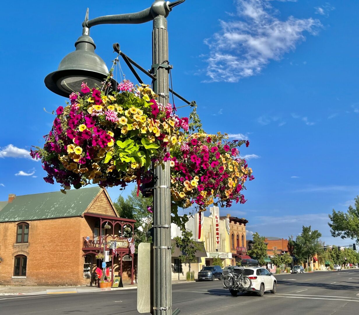 Flowers - street scape with baskets_Hailey.Credit Carol Waller