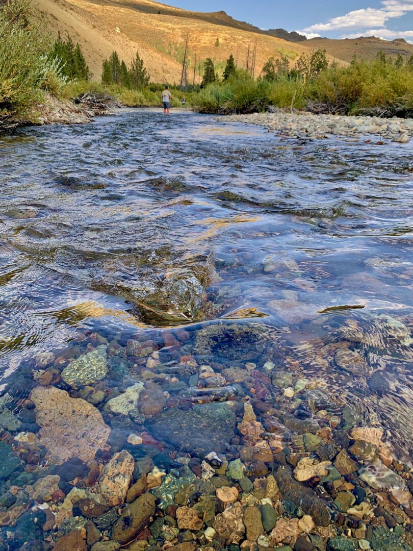Fishing river rocks view. Credit Carol Waller (1)