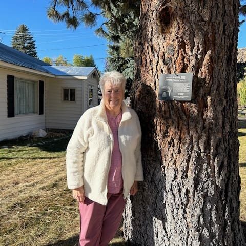 Norma Hepworth Heritage Tree